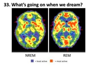 33. What’s going on when we dream?
NREM REM
= least active = most active
 
