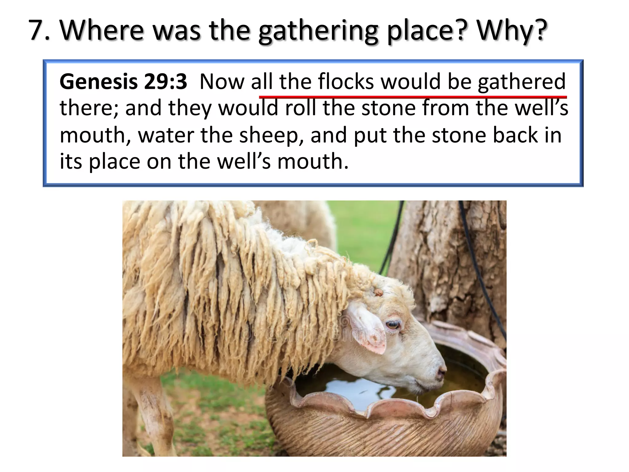 7. Where was the gathering place? Why?
Genesis 29:3 Now all the flocks would be gathered
there; and they would roll the stone from the well’s
mouth, water the sheep, and put the stone back in
its place on the well’s mouth.
 