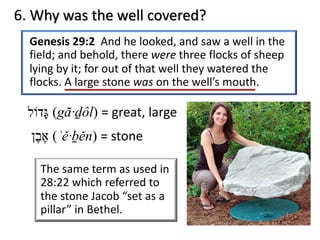 6. Why was the well covered?
Genesis 29:2 And he looked, and saw a well in the
field; and behold, there were three flocks of sheep
lying by it; for out of that well they watered the
flocks. A large stone was on the well’s mouth.
‫א‬ֶ‫ב‬ֶ‫ן‬ (ʾě·ḇěn) = stone
‫גּ‬ָ‫ד‬‫וֹ‬‫ל‬ (gā·ḏôl) = great, large
The same term as used in
28:22 which referred to
the stone Jacob “set as a
pillar” in Bethel.
 