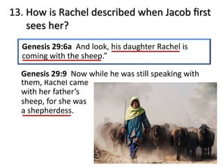 them, Rachel came
with her father’s
sheep, for she was
a shepherdess.
13. How is Rachel described when Jacob ﬁrst
sees her?
Genesis 29:6a And look, his daughter Rachel is
coming with the sheep.”
Genesis 29:9 Now while he was still speaking with
 