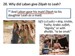 28. Why did Laban give Zilpah to Leah?
24 And Laban gave his maid Zilpah to his
daughter Leah as a maid.
‫ז‬ִ‫ל‬ְ‫פּ‬ָ‫ה‬ (zil·pāh) = drip, trickle,
frailty; Arabic zulfah,
“dignity,” or with
dhulifa, “to be small.”
 
