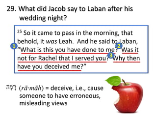 29. What did Jacob say to Laban after his
wedding night?
25 So it came to pass in the morning, that
behold, it was Leah. And he said to Laban,
“What is this you have done to me? Was it
not for Rachel that I served you? Why then
have you deceived me?”
1 2
3
‫ר‬ָ‫מ‬ָ‫ה‬ (rā·māh) = deceive, i.e., cause
someone to have erroneous,
misleading views
 