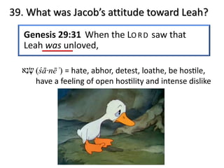 39. What was Jacob’s attitude toward Leah?
‫שׂ‬ָ‫נ‬ֵ‫א‬ (śā·nēʾ) = hate, abhor, detest, loathe, be hos@le,
have a feeling of open hos@lity and intense dislike
 