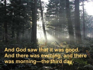 And God saw that it was good.  And there was evening, and there was morning—the third day.  