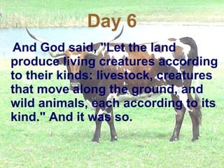 Day 6 And God said, "Let the land produce living creatures according to their kinds: livestock, creatures that move along the ground, and wild animals, each according to its kind." And it was so.   