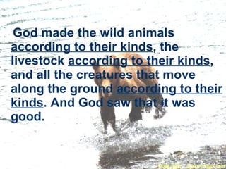 God made the wild animals  according to their kinds , the livestock  according to their kinds , and all the creatures that move along the ground  according to their kinds . And God saw that it was good.   