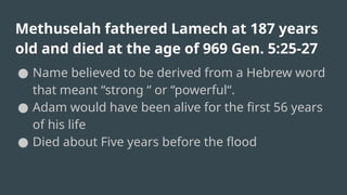 Methuselah fathered Lamech at 187 years
old and died at the age of 969 Gen. 5:25-27
● Name believed to be derived from a Hebrew word
that meant “strong “ or “powerful“.
● Adam would have been alive for the first 56 years
of his life
● Died about Five years before the flood
 