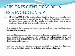 VERSIONES CIENTIFICAS DE LA
TESIS EVOLUCIONISTA
1. EL LAMARQUISMO: en 1809, Jean Baptiste de monet, caballero de
Lamarck (1744-1829), publicó su libro Filosofía Zoológica, en donde
defendía una versión de la teoría evolucionista. Los puntos
fundamentales de tal teoría son los siguientes:
 El desarrollo de organismos simples en complejos se da mediante una
progresión gradual.
 Los cambios graduales que van generando nuevos organismos cada vez
mas complejos se producen en virtud de adaptaciones a las
presiones del ambiente, que van implicando la frecuencia en el uso
de determinado órgano.
 Los cambios en las características de un individuo que se adquieren
gracias a la adaptación son heredados a su descendencia.
 