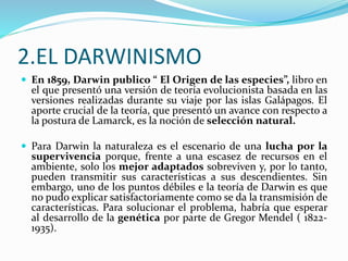 2.EL DARWINISMO
 En 1859, Darwin publico “ El Origen de las especies”, libro en
el que presentó una versión de teoría evolucionista basada en las
versiones realizadas durante su viaje por las islas Galápagos. El
aporte crucial de la teoría, que presentó un avance con respecto a
la postura de Lamarck, es la noción de selección natural.
 Para Darwin la naturaleza es el escenario de una lucha por la
supervivencia porque, frente a una escasez de recursos en el
ambiente, solo los mejor adaptados sobreviven y, por lo tanto,
pueden transmitir sus características a sus descendientes. Sin
embargo, uno de los puntos débiles e la teoría de Darwin es que
no pudo explicar satisfactoriamente como se da la transmisión de
características. Para solucionar el problema, habría que esperar
al desarrollo de la genética por parte de Gregor Mendel ( 1822-
1935).
 