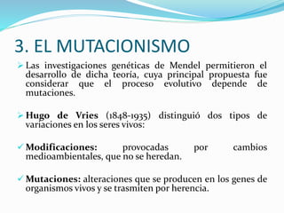3. EL MUTACIONISMO
 Las investigaciones genéticas de Mendel permitieron el
desarrollo de dicha teoría, cuya principal propuesta fue
considerar que el proceso evolutivo depende de
mutaciones.
 Hugo de Vries (1848-1935) distinguió dos tipos de
variaciones en los seres vivos:
 Modificaciones: provocadas por cambios
medioambientales, que no se heredan.
 Mutaciones: alteraciones que se producen en los genes de
organismos vivos y se trasmiten por herencia.
 