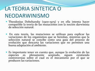 LA TEORIA SINTETICA O
NEODARWINISMO
 Theodosius Dobzhansky (1900-1975) y en ella intenta hacer
compatible la teoría de las mutaciones con la noción darwinista
de selección natural.
 En esta teoría, las mutaciones se utilizan para explicar las
variaciones de los organismos que se heredan, mientras que la
selección natural se concibe como una guía del proceso de
evolución que descarta las variaciones que no permiten una
buena adaptación al ambiente.
 Es importante tener en cuenta que, aunque la evolución de las
especies es plenamente aceptado, siguen existiendo
controversias sobre el cual es el mecanismo por el que se
producen las variaciones.
 