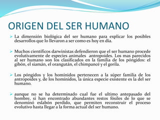 ORIGEN DEL SER HUMANO
 La dimensión biológica del ser humano para explicar los posibles
desarrollos que lo llevaron a ser como es hoy en día.
 Muchos científicos darwinistas defendieron que el ser humano procede
evolutivamente de especies animales antropoides. Los mas parecidos
al ser humano son los clasificados en la familia de los póngidos: el
gibón, el siamán, el orangután, el chimpancé y el gorila.
 Los póngidos y los homínidos pertenecen a la súper familia de los
antropoides y, de los homínidos, la única especie existente es la del ser
humano.
 aunque no se ha determinado cual fue el ultimo antepasado del
hombre, si han encontrado abundantes restos fósiles de lo que se
denominó eslabón perdido, que permiten reconstruir el proceso
evolutivo hasta llegar a la forma actual del ser humano.
 