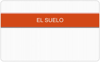 EL SUELO
 
