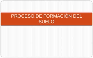 PROCESO DE FORMACIÓN DEL
SUELO
 