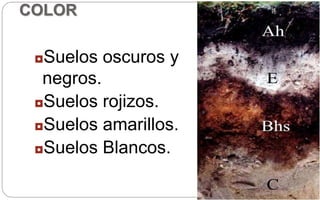 COLOR
◘Suelos oscuros y
negros.
◘Suelos rojizos.
◘Suelos amarillos.
◘Suelos Blancos.
 