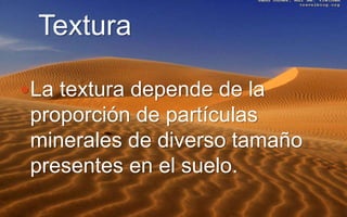 Textura
La textura depende de la
proporción de partículas
minerales de diverso tamaño
presentes en el suelo.
 