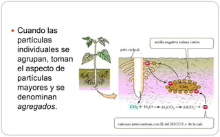 Cuando las
partículas
individuales se
agrupan, toman
el aspecto de
partículas
mayores y se
denominan
agregados.
 