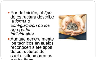  Por definición, el tipo
de estructura describe
la forma o
configuración de los
agregados
individuales.
 Aunque generalmente
los técnicos en suelos
reconocen siete tipos
de estructuras del
suelo, sólo usaremos
 