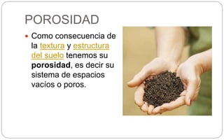 POROSIDAD
 Como consecuencia de
la textura y estructura
del suelo tenemos su
porosidad, es decir su
sistema de espacios
vacíos o poros.
 