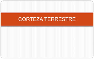 CORTEZA TERRESTRE
 