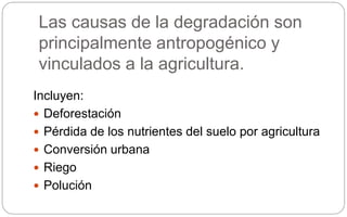 Las causas de la degradación son
principalmente antropogénico y
vinculados a la agricultura.
Incluyen:
 Deforestación
 Pérdida de los nutrientes del suelo por agricultura
 Conversión urbana
 Riego
 Polución
 