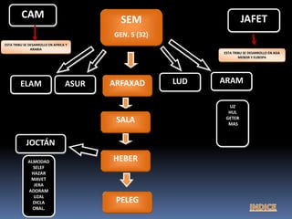 CAM
ASUR ARFAXADELAM LUD ARAM
UZ
HUL
GETER
MAS
SALA
HEBER
PELEG
JOCTÁN
ALMODAD
SELEF
HAZAR
MAVET
JERA
ADORAM
UZAL
DICLA
OBAL.
ESTA TRIBU SE DESARROLLO EN AFRICA Y
ARABIA
ESTA TRIBU SE DESARROLLO EN ASIA
MENOR Y EUROPA
SEM
GEN. 5 (32)
JAFET
 