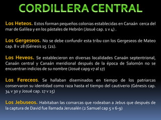 Los Heteos. Estos forman pequeños colonias establecidas en Canaán cerca del
mar de Galilea y en los pástales de Hebrón (Josué cap. 1 v 4) .
Los Gergeseos. No se debe confundir esta tribu con los Gergeseos de Mateo
cap. 8 v 28 (Génesis 15 (21).
Los Heveos. Se establecieron en diversas localidades Canaán septentrional,
Canaán central y Canaán meridional después de la época de Salomón no se
encuentran indicios de su nombre (Josué cap9 v7 al 17)
Los Fereceos. Se hallaban diseminados en tiempo de los patriarcas
conservaron su identidad como raza hasta el tiempo del cautiverio (Génesis cap.
34 v 30 y Josué cap. 17 v 15)
Los Jebuseos. Habitaban las comarcas que rodeaban a Jebus que después de
la captura de David fue llamada Jerusalén (2 Samuel cap 5 v 6-9)
 