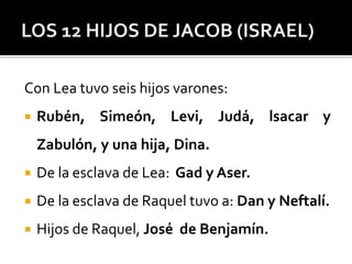 Con Lea tuvo seis hijos varones:
 Rubén, Simeón, Levi, Judá, lsacar y
Zabulón, y una hija, Dina.
 De la esclava de Lea: Gad y Aser.
 De la esclava de Raquel tuvo a: Dan y Neftalí.
 Hijos de Raquel, José de Benjamín.
 