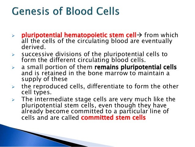 General physiology Genesis of blood cells