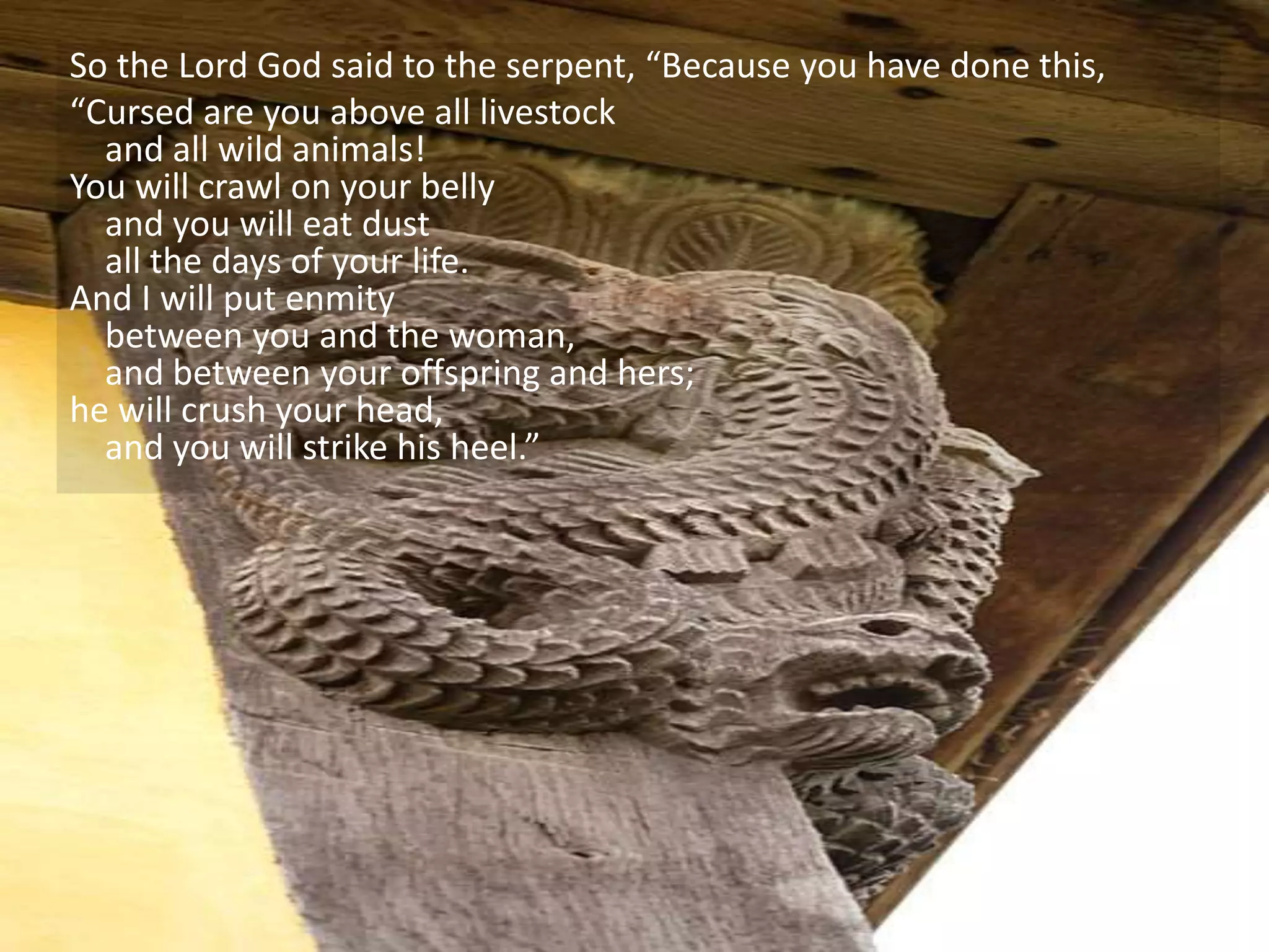 So the Lord God said to the serpent, “Because you have done this,
“Cursed are you above all livestock
and all wild animals!
You will crawl on your belly
and you will eat dust
all the days of your life.
And I will put enmity
between you and the woman,
and between your offspring and hers;
he will crush your head,
and you will strike his heel.”
 