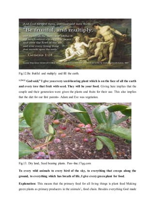 Fig.12.Be fruitful and multiply and fill the earth.
1:29-31 God said,” I give you every seed-bearing plant which is on the face of all the earth
and every tree that fruit with seed. They will be your food. Giving here implies that the
couple and their generation were given the plants and fruits for their use. This also implies
that the diet for our first parents- Adam and Eve was vegetarian.
Fig.13. Dry land, Seed bearing plants. Pan--line.17qq.com
To every wild animals to every bird of the sky, to everything that creeps along the
ground, to everything which has breath of life, I give every green plant for food.
Explanation: This means that the primary food for all living things is plant food Making
green plants as primary producers in the animals’, food chain. Besides everything God made
 