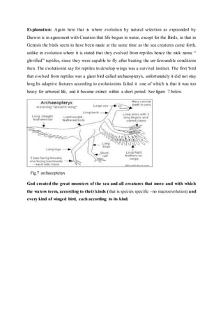 Explanation: Again here that is where evolution by natural selection as expounded by
Darwin is in agreement with Creation that life begun in water, except for the Birds, in that in
Genesis the birds seem to have been made at the same time as the sea creatures came forth,
unlike in evolution where it is stated that they evolved from reptiles hence the nick name “
glorified” reptiles, since they were capable to fly after beating the un-favourable conditions
then. The evolutionist say for reptiles to develop wings was a survival instinct. The first 'bird
that evolved from reptiles was a giant bird called archaeopteryx, unfortunately it did not stay
long.Its adaptive features according to evolutionists failed it one of which is that it was too
heavy for arboreal life, and it became extinct within a short period See figure 7 below.
Fig.7 archaeopteryx
God created the great monsters of the sea and all creatures that move and with which
the waters teem, according to their kinds (that is species specific –no macroevolution) and
every kind of winged bird, each according to its kind.
 