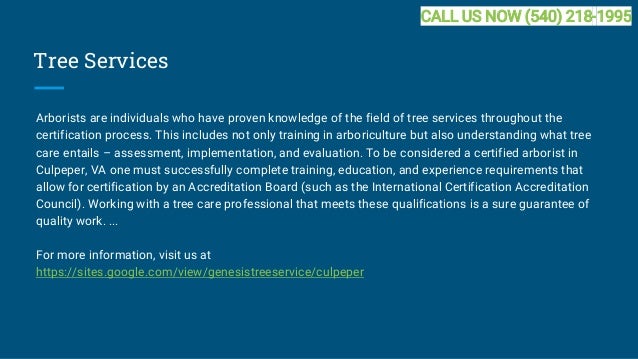 Genesis Tree Service Round Hill VA - Free Quotes 540-441-0305