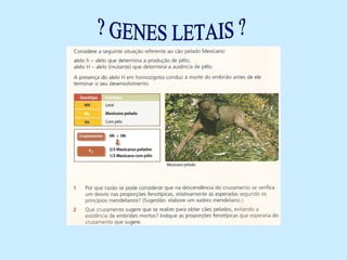 GENES LETAIS
 