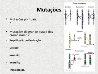 Mutações
• Mutações pontuais:
-   ?


• Mutações de grande escala dos
  cromossomos:
-   Amplificação ou Duplicação;

-   ...