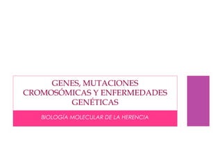 GENES, MUTACIONES
CROMOSÓMICAS Y ENFERMEDADES
        GENÉTICAS
   BIOLOGÍA MOLECULAR DE LA HERENCIA
 