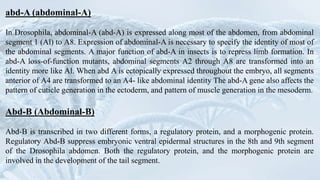 Gene structure | PPTX
