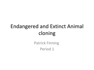 Endangered and Extinct Animal cloning Patrick Finning  Period 1 
