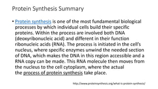 Protein Synthesis Summary
• Protein synthesis is one of the most fundamental biological
processes by which individual cells build their specific
proteins. Within the process are involved both DNA
(deoxyribonucleic acid) and different in their function
ribonucleic acids (RNA). The process is initiated in the cell’s
nucleus, where specific enzymes unwind the needed section
of DNA, which makes the DNA in this region accessible and a
RNA copy can be made. This RNA molecule then moves from
the nucleus to the cell cytoplasm, where the actual
the process of protein synthesis take place.
http://www.proteinsynthesis.org/what-is-protein-synthesis/
 