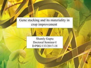 1
Gene stacking and it’s
relevance in crop
improvement
Gene stacking and its materiality in
crop improvement
Shamly Gupta
Doctoral Seminar-I
D/PBG/133/2017-18
 