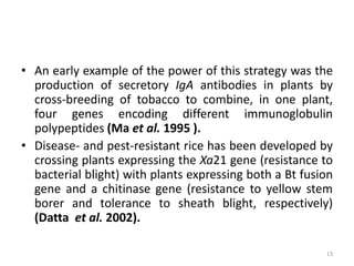 • An early example of the power of this strategy was the
production of secretory IgA antibodies in plants by
cross-breeding of tobacco to combine, in one plant,
four genes encoding different immunoglobulin
polypeptides (Ma et al. 1995 ).
• Disease- and pest-resistant rice has been developed by
crossing plants expressing the Xa21 gene (resistance to
bacterial blight) with plants expressing both a Bt fusion
gene and a chitinase gene (resistance to yellow stem
borer and tolerance to sheath blight, respectively)
(Datta et al. 2002).
13
 