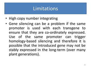Limitations
• High copy number integrating
• Gene silencing can be a problem if the same
promoter is used with each transgene to
ensure that they are co-ordinately expressed.
Use of the same promoter can trigger
homology-based silencing and therefore it is
possible that the introduced gene may not be
stably expressed in the long-term (over many
plant generations).
20
 