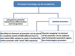 21
Promoter homology can be avoided by
Using diverse promoter
Isolated from different plant
and viral genomes
Synthetic promoters
Identified cis-elements of promoter can be placed
In a synthetic stretch of DNA different from its
own native DNA, context to create a functionally
similar promoter with ‘novel’ DNA sequences
‘Domain swapping’-cis element
of the promoter can be replaced
with functionally equivalent regions
form heterologous promoters
 