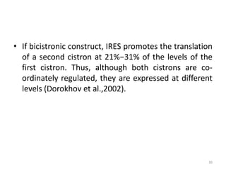 • If bicistronic construct, IRES promotes the translation
of a second cistron at 21%−31% of the levels of the
first cistron. Thus, although both cistrons are co-
ordinately regulated, they are expressed at different
levels (Dorokhov et al.,2002).
30
 