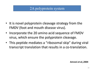 2A polyprotein system
• It is novel polyprotein cleavage strategy from the
FMDV (foot and mouth disease virus).
• Incorporate the 20 amino acid sequence of FMDV
virus, which ensure the polyprotein cleavage.
• This peptide mediates a “ribosomal skip” during viral
transcript translation that results in a co-translation.
Amrani et al.,2004
32
 