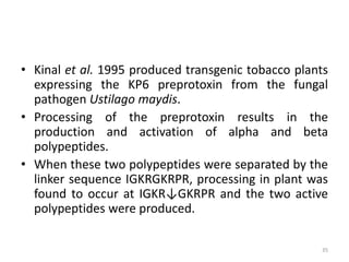 • Kinal et al. 1995 produced transgenic tobacco plants
expressing the KP6 preprotoxin from the fungal
pathogen Ustilago maydis.
• Processing of the preprotoxin results in the
production and activation of alpha and beta
polypeptides.
• When these two polypeptides were separated by the
linker sequence IGKRGKRPR, processing in plant was
found to occur at IGKR↓GKRPR and the two active
polypeptides were produced.
35
 