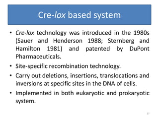 Cre-lox based system
• Cre-lox technology was introduced in the 1980s
(Sauer and Henderson 1988; Sternberg and
Hamilton 1981) and patented by DuPont
Pharmaceuticals.
• Site-specific recombination technology.
• Carry out deletions, insertions, translocations and
inversions at specific sites in the DNA of cells.
• Implemented in both eukaryotic and prokaryotic
system.
37
 