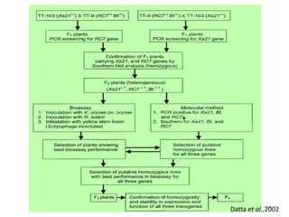 44
Datta et al.,2002
 