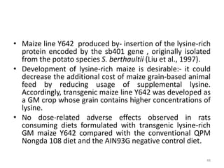 • Maize line Y642 produced by- insertion of the lysine-rich
protein encoded by the sb401 gene , originally isolated
from the potato species S. berthaultii (Liu et al., 1997).
• Development of lysine-rich maize is desirable:- it could
decrease the additional cost of maize grain-based animal
feed by reducing usage of supplemental lysine.
Accordingly, transgenic maize line Y642 was developed as
a GM crop whose grain contains higher concentrations of
lysine.
• No dose-related adverse effects observed in rats
consuming diets formulated with transgenic lysine-rich
GM maize Y642 compared with the conventional QPM
Nongda 108 diet and the AIN93G negative control diet.
48
 