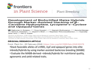 •Stack favorable alleles of crtRB1, lcyE and opaque2 genes into elite
inbreds/hybrids by using marker-assisted backcross breeding (MABB)
• Evaluate the MABB-derived –inbreds/hybrids for nutritional quality,
agronomic and yield related traits.
52
 